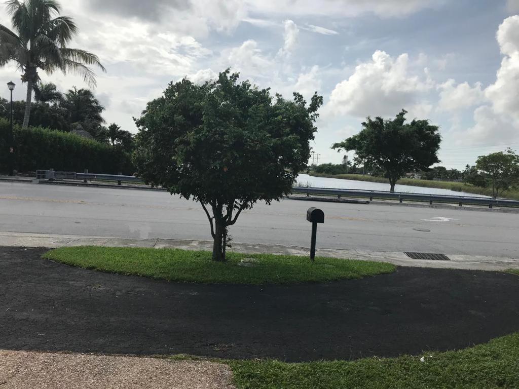 82-10Sw 135Av Villa Miami Ngoại thất bức ảnh